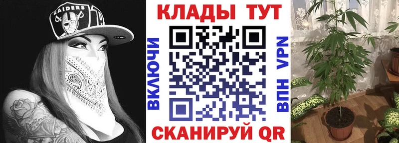 Купить Галлюциногенные грибы  А ПВП  Мефедрон  Бошки Шишки  Codein  ГАШ  Челябинск