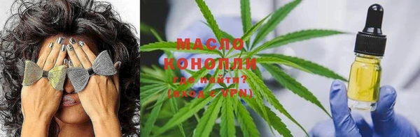 крисы Новозыбков