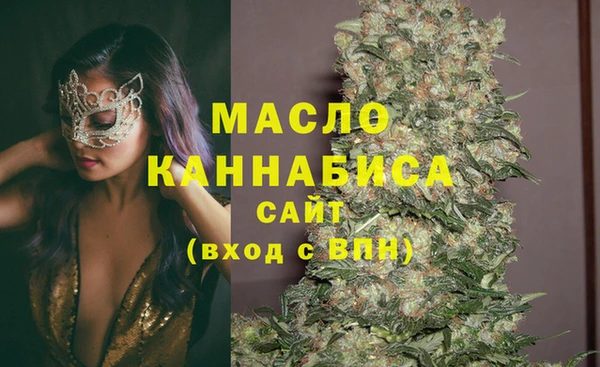 крисы Новозыбков