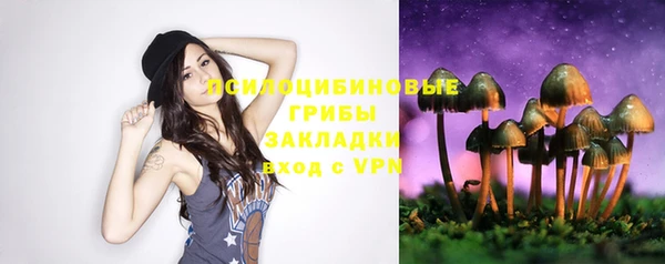 крисы Новозыбков