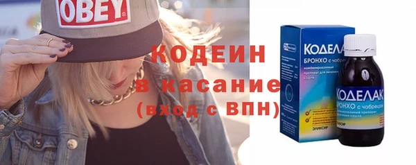 крисы Новозыбков
