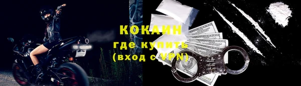 крисы Новозыбков