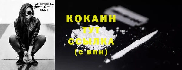 крисы Новозыбков
