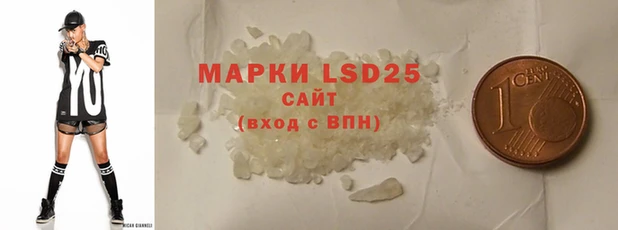 крисы Новозыбков