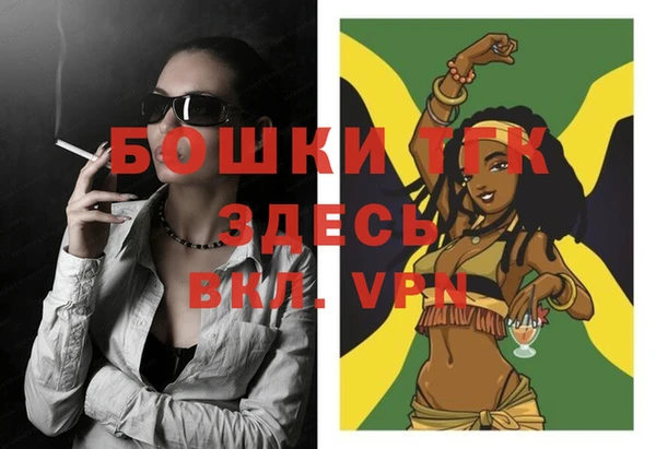 первитин Новодвинск