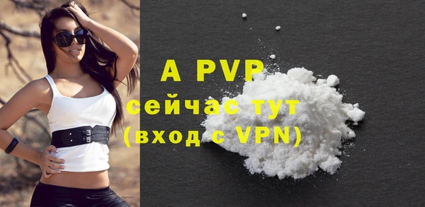 крисы Новозыбков