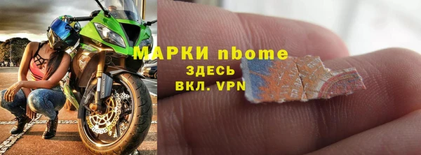 крисы Новозыбков