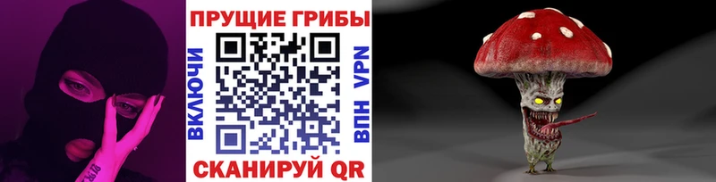Галлюциногенные грибы GOLDEN TEACHER  Купить где  Челябинск 